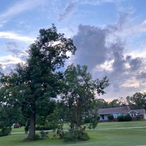 Meet your Posher, Isabella